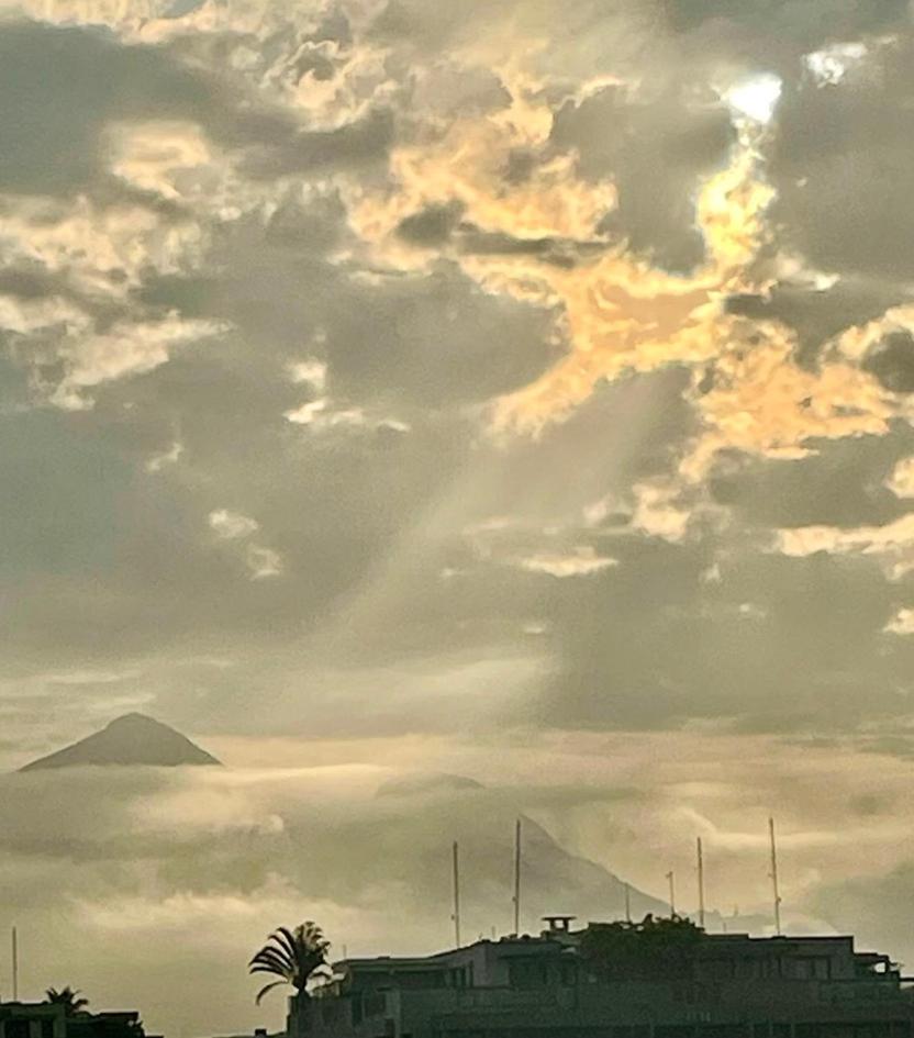 Apartemen Ninho De Gaivotas Na Barra Da Tijuca